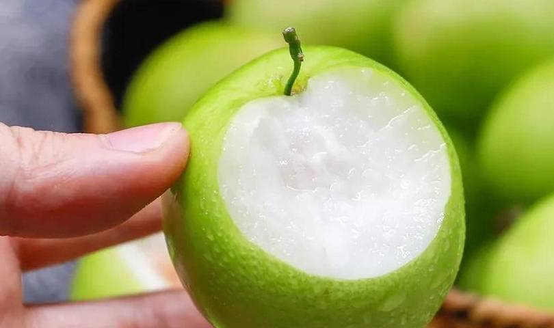 韩版小苹果台湾
:冬季来两颗爆汁的青枣，补水又解腻，每一口都甜在心尖上